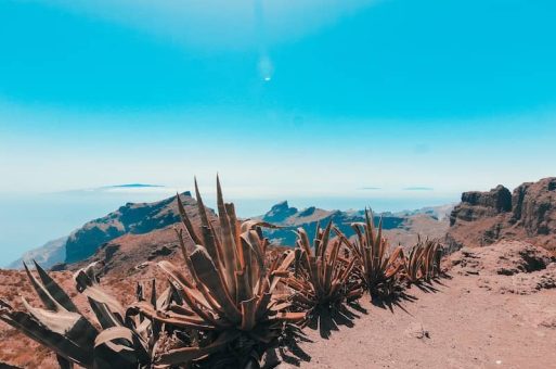 Hoteles Burbuja Tenerife montaña